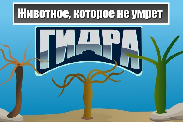 Kraken сайт даркнет