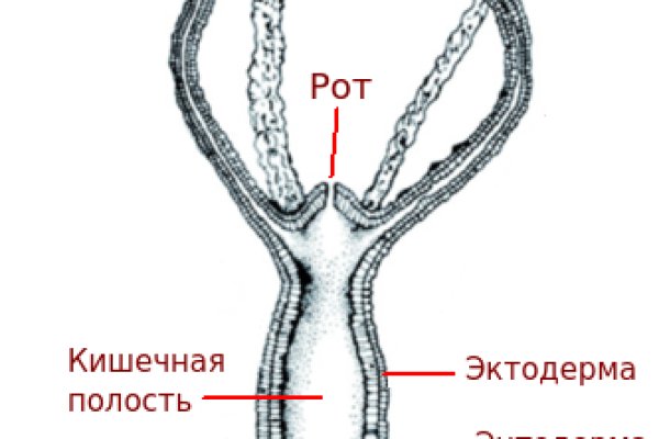 Кракен маркетплейс что это