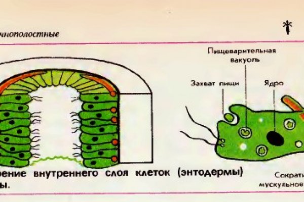 Сайты для даркнета