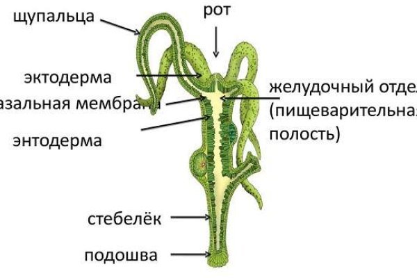Что такое кракен маркет